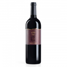 Trossos del Priorat Lo Món