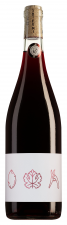 Anne Collard Vin de France SHI FU MI Magnum