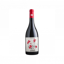 Caruso e Minini Vualà Nero d'Avola