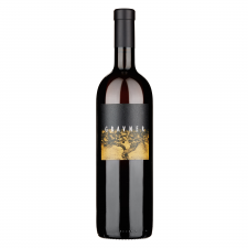 Gravner Breg Anfora